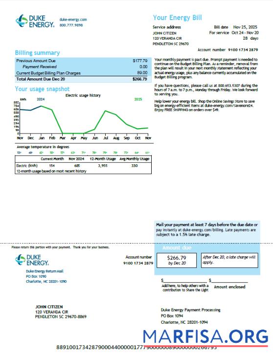 Blank USA Duke Energy utility bill template in Word and PDF formats, version 6